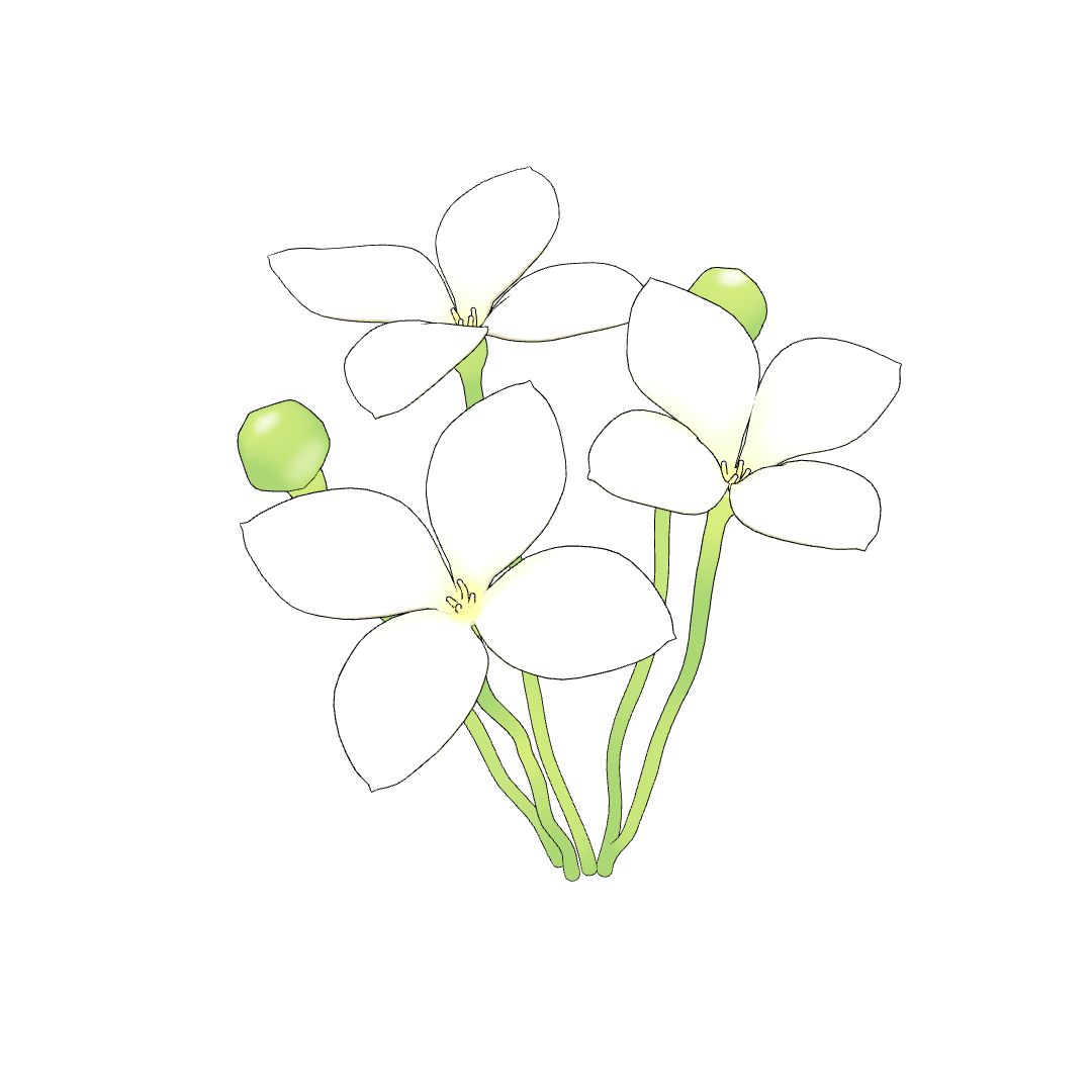 상세페이지 썸네일