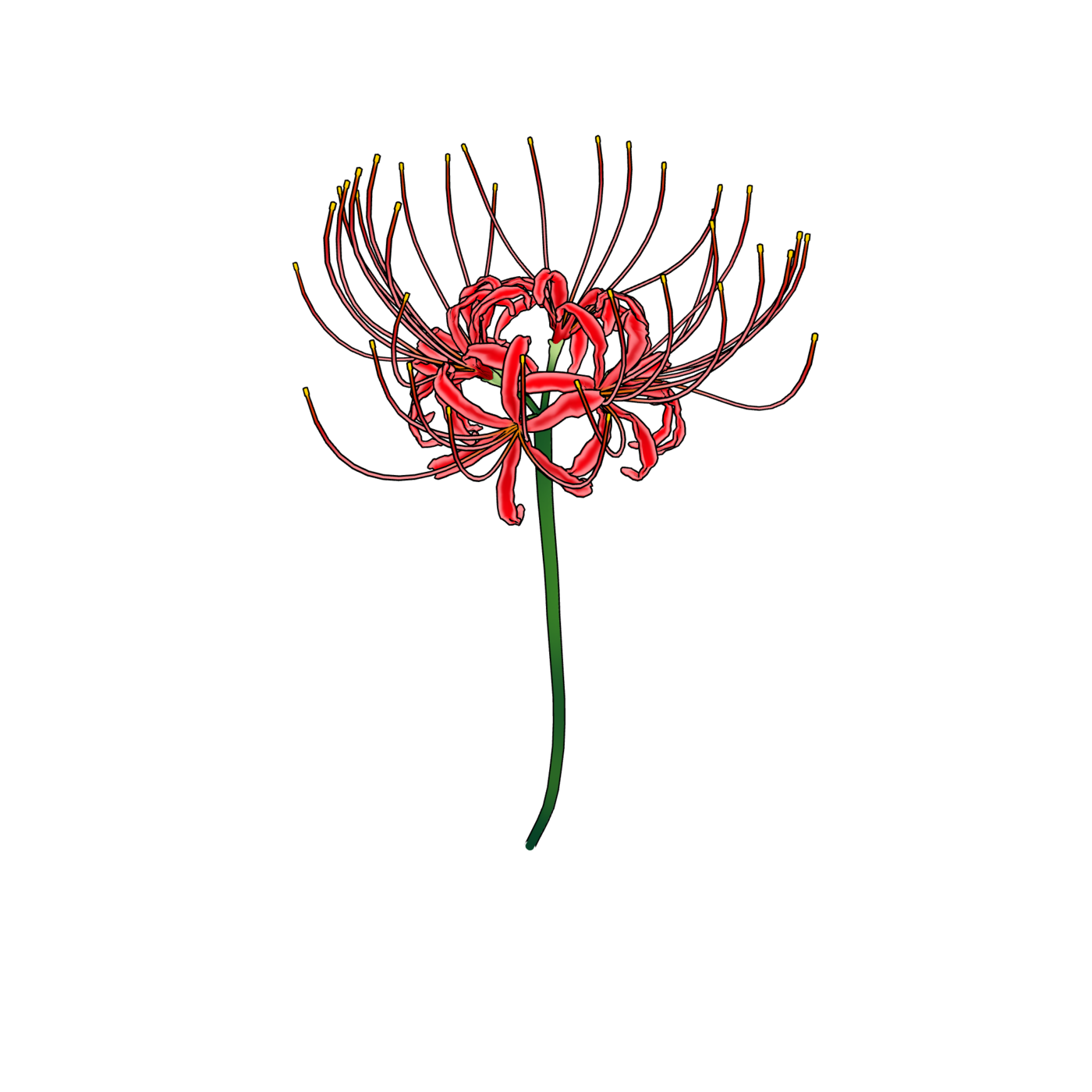 상세페이지 썸네일