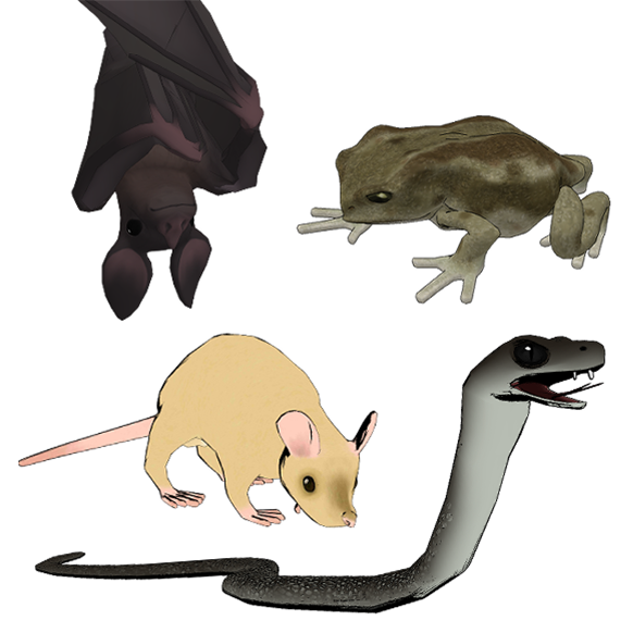 상세페이지 썸네일